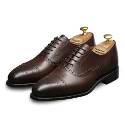 Online LodinG Richelieu Brogue Newton 318 Marron