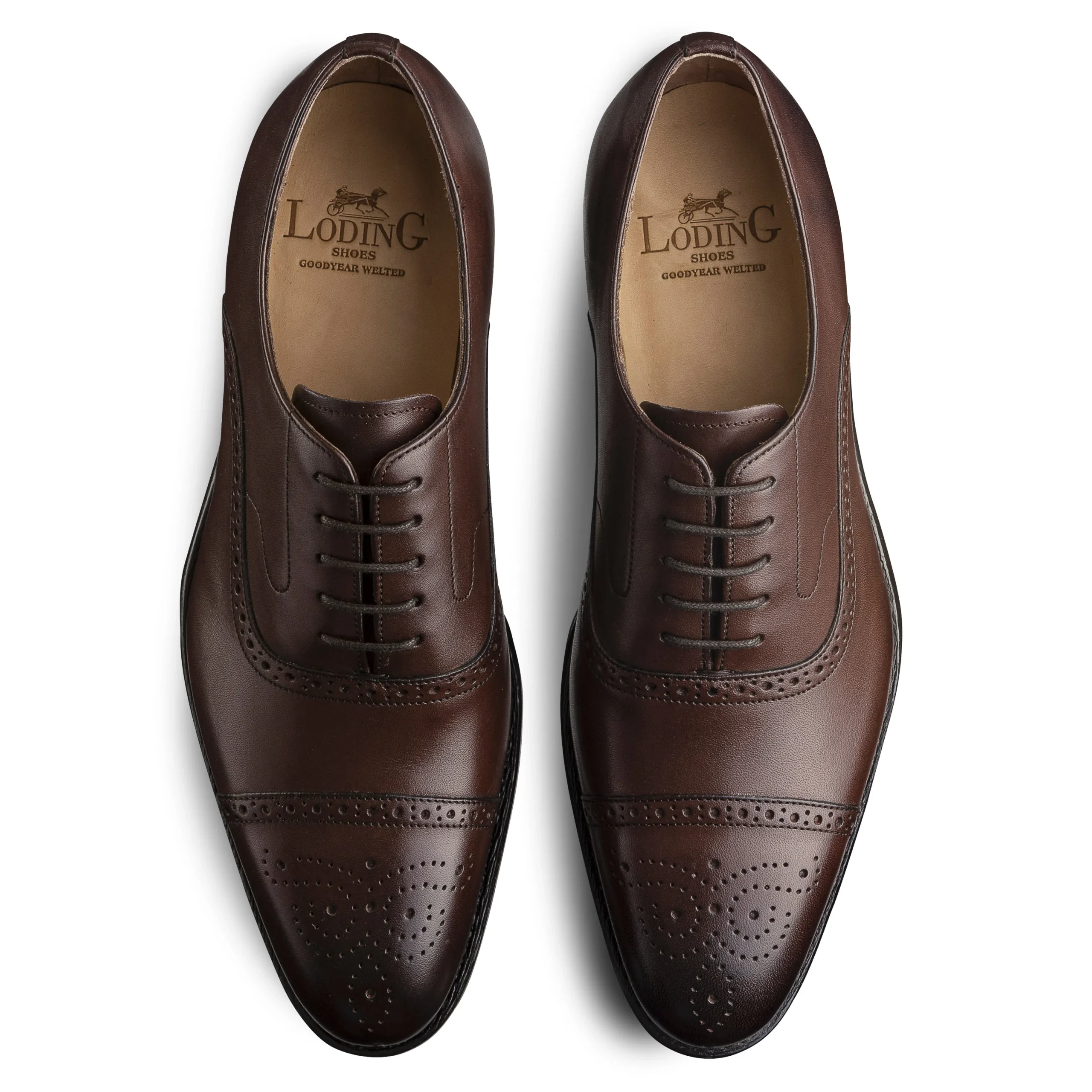 Online LodinG Richelieu Brogue Newton 318 Marron